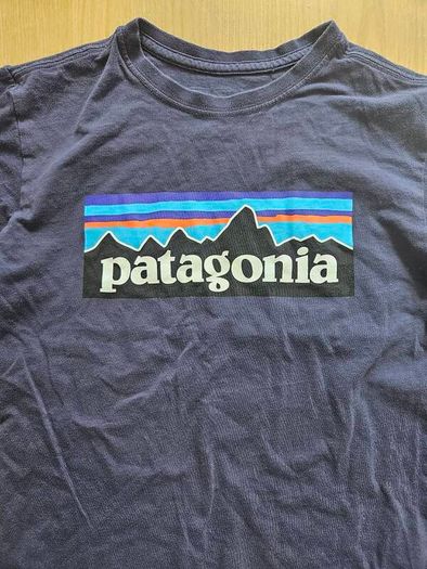 Boys Patagonia t-shirt