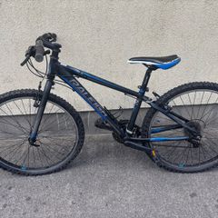 Raleigh mountain bike