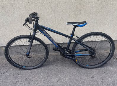 Raleigh mountain bike