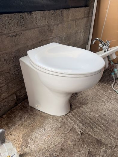 Toilet and sink