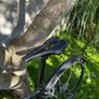 racer bike Image 3