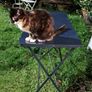 French Garden Table Steel Image 3