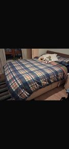 queen size bed
