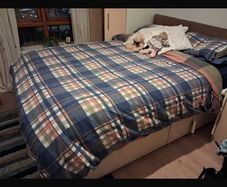 queen size bed