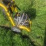petrol washer Image 4