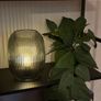 Artificial Plant Image 3