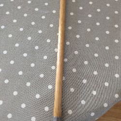 Walking Cane
