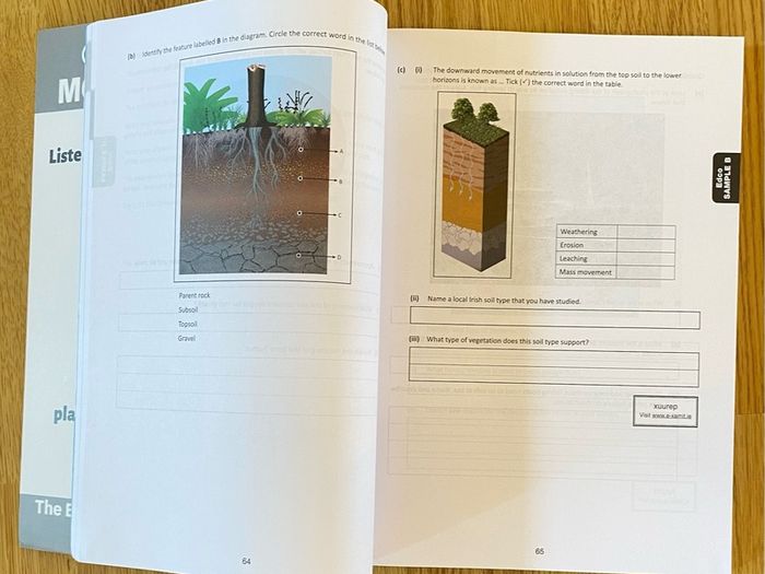 Maths CSPE English Irish Geography History ReligionJunior Certificate books & exam papers