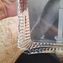 waterford crystal frames Image 3