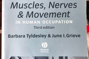 Muscles nerves and movement in human occupation