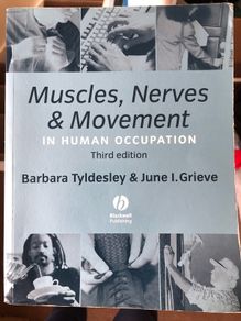 Muscles nerves and movement in human occupation