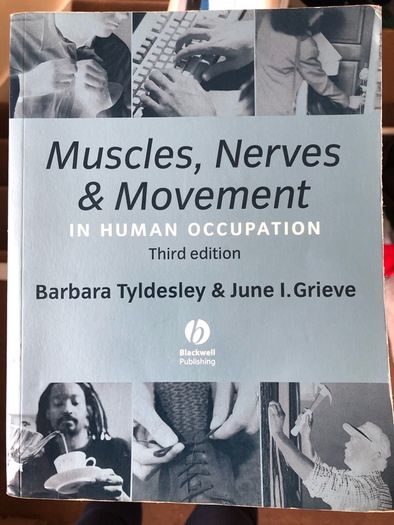 Muscles nerves and movement in human occupation
