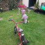 12" kids bikes with stabilisers Image 5