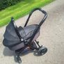Egg buggy Image 2