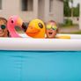 pool Image 2
