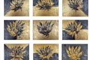 Golden Contrast - Sunflower Series