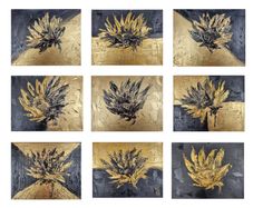 Golden Contrast - Sunflower Series