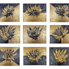 Golden Contrast - Sunflower Series