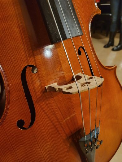 3/4 Primavera Prima 200 Cello - Full Outfit with New Bag, Bow, Strings - Limerick