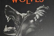 The Company of Wolves Steelbook Special Edition