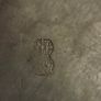 Continental Pewter Plate Depicting a Salamander Image 5