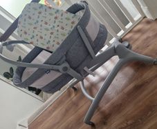 Moses  basket