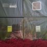 Frank Boclet cocaine 4 for 20 ml set new original Image 5