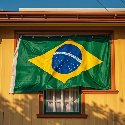 Brazil Flag