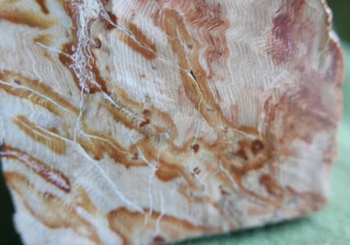 Dolomite Slab Rolling Hills Dolomite