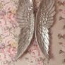 angel wings Image 2