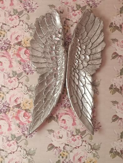 angel wings