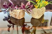 Vintage Set MCM Plant Pots x 2 Bark Pattern Stoneware Succulent Bonsai Planter 1950s