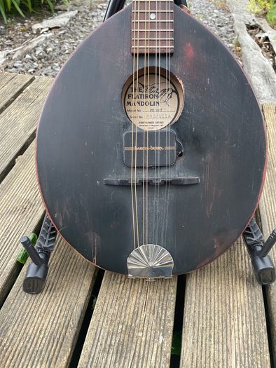 flatiron mandolin