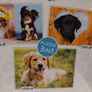 Puppies By Trefl, Limited Edition 3 In 1 Jigsaw Puzzles Image 5