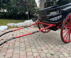 Horse Traps