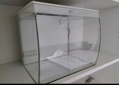 fluval flex aquarium