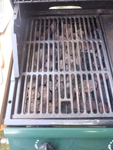 barbeque