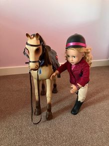 Our generation doll and horse set