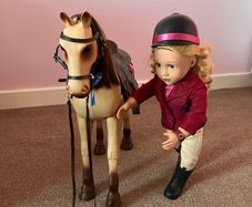 Our generation doll and horse set
