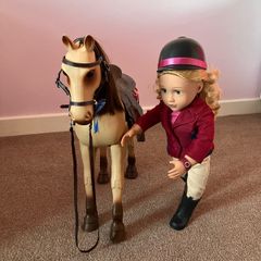 Our generation doll and horse set