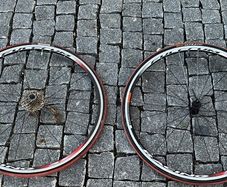 Fulcrum Racing 7 700c Road Bike Wheelset + Cassette