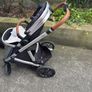 buggys Image 2