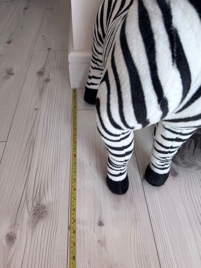 Safari animals to go together