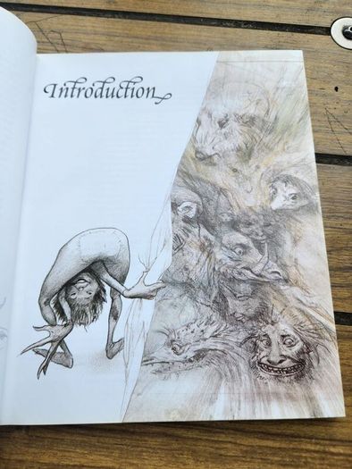 Good Faeries Bad Faeries. By Brian Froud. Edited By  Terri Windling. First Edition Large Volume Paperback In Very Good Condition.