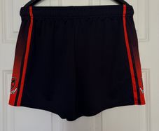 BSJ GAA shorts like new 32in