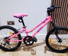 20 Inch Avoca FS20 Mountain Bike Pink