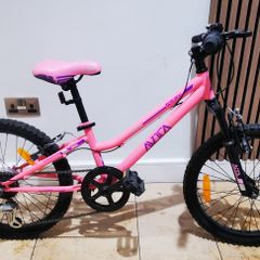 20 Inch Avoca FS20 Mountain Bike Pink