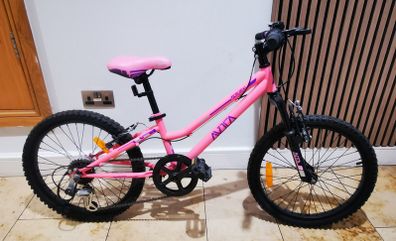 20 Inch Avoca FS20 Mountain Bike Pink