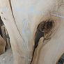 Live edge Ash Slab - Kiln Dried Image 7