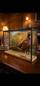 antique taxidermy pheasant